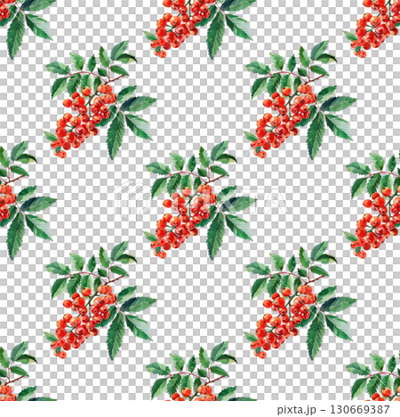 Seamless pattern with watercolor mountain ash and autumn elements on clean white background. Ideal for seasonal branding and packaging Seamless pattern with watercolor mountain ash and autumn elements on clean white background. Ideal for seasonal branding and packaging 130669387