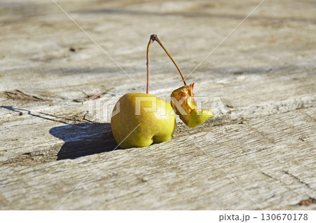 On the branch one small whole apple and a core On the branch one small whole apple and a core 130670178