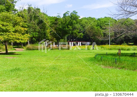 千葉県船橋市行田公園周辺2025年9月 130670444