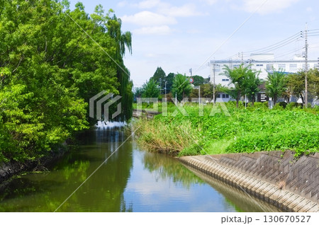 埼玉県越谷市葛西用水路2025年9月 埼玉県越谷市葛西用水路2025年9月 130670527