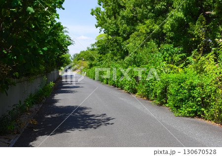 埼玉県越谷市葛西用水路2025年9月 埼玉県越谷市葛西用水路2025年9月 130670528