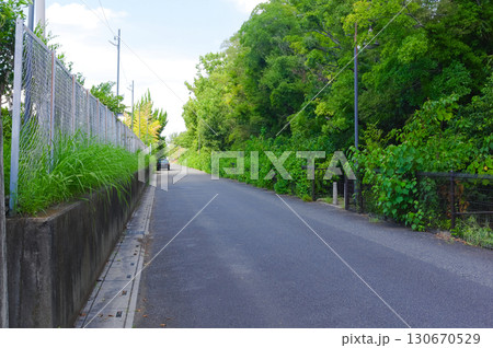 埼玉県越谷市葛西用水路2025年9月 130670529