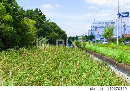 埼玉県越谷市葛西用水路2025年9月 埼玉県越谷市葛西用水路2025年9月 130670530