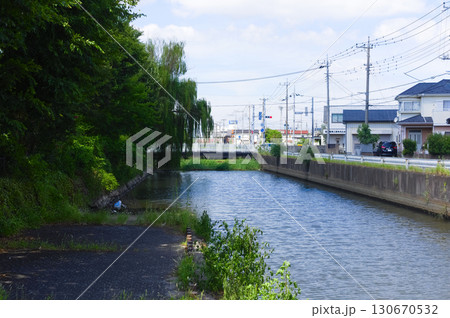 埼玉県越谷市葛西用水路2025年9月 130670532