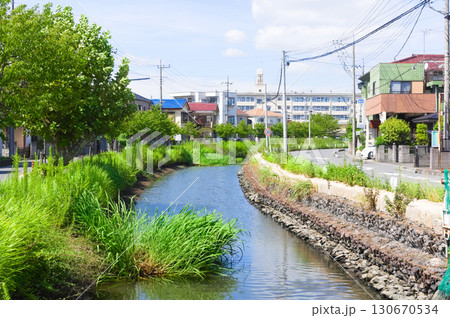埼玉県越谷市葛西用水路2025年9月 130670534