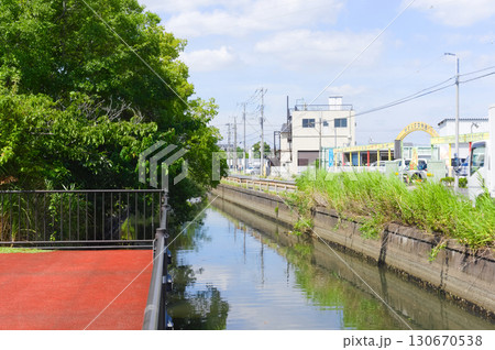 埼玉県越谷市葛西用水路2025年9月 130670538