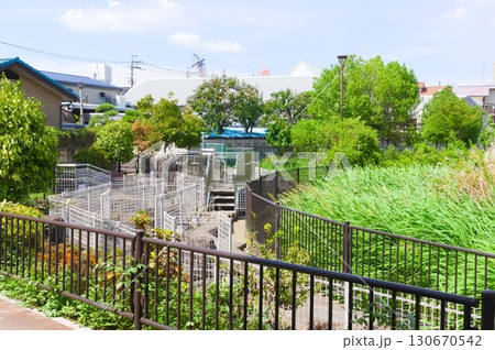 埼玉県越谷市葛西用水路2025年9月 埼玉県越谷市葛西用水路2025年9月 130670542