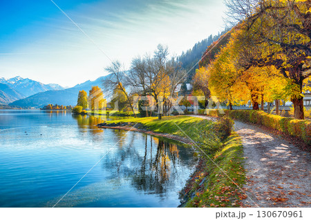 Amazing autumn view of lake and trees in city park of Sell Am See 130670961