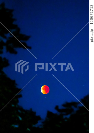 皆既月食 130671712