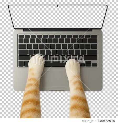 貓的前腿操作筆記型電腦 130672010