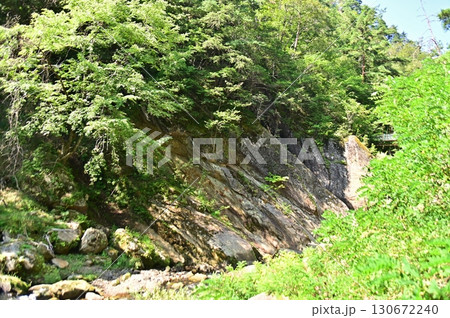 夏の差切峡、岩と新緑の木々の織り成す景色 夏の差切峡、岩と新緑の木々の織り成す景色 130672240