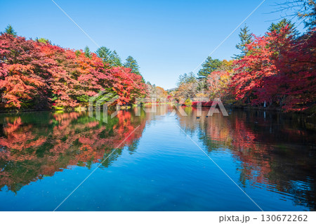 軽井沢・雲場池（秋） 130672262