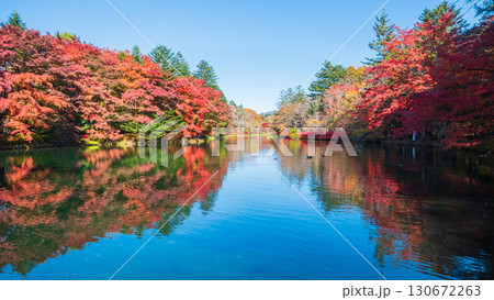 軽井沢・雲場池（秋） 130672263