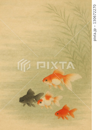 藻の周りを静かに泳ぐ色とりどりの金魚 130672270