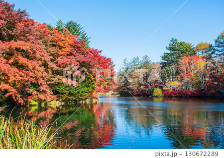 軽井沢・雲場池（秋） 130672289