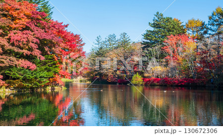 軽井沢・雲場池（秋） 130672306