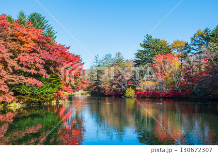 軽井沢・雲場池（秋） 130672307
