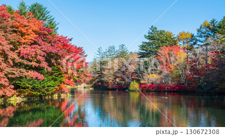 軽井沢・雲場池（秋） 130672308