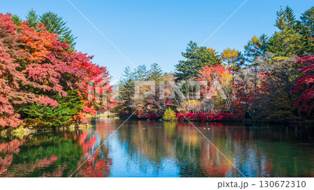 軽井沢・雲場池（秋） 130672310