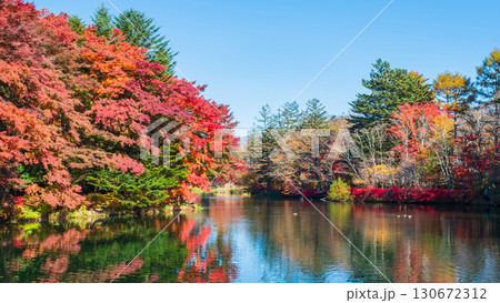 軽井沢・雲場池（秋） 130672312