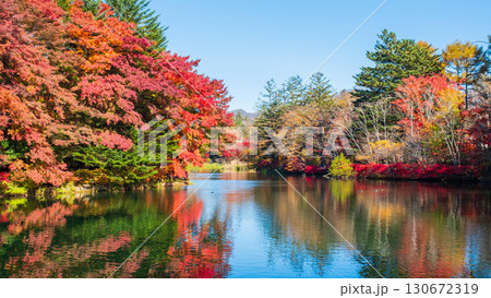 軽井沢・雲場池（秋） 130672319