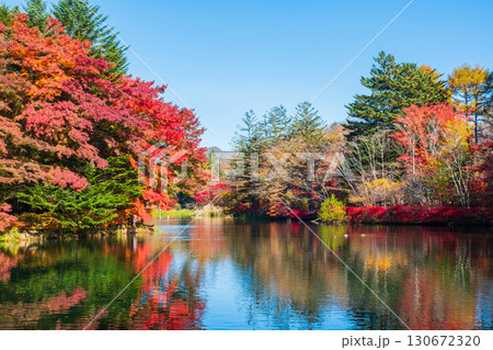軽井沢・雲場池（秋） 130672320