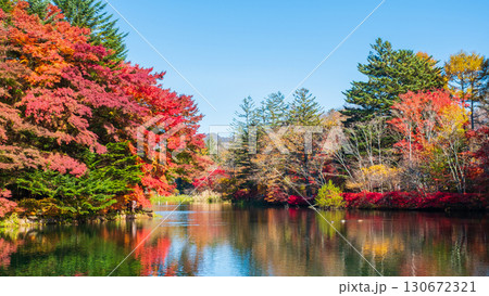 軽井沢・雲場池（秋） 130672321