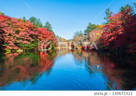 軽井沢・雲場池（秋） 130672322