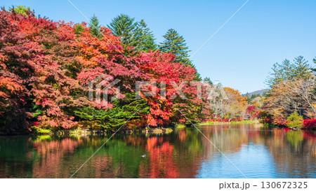 軽井沢・雲場池（秋） 130672325