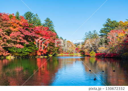 軽井沢・雲場池（秋） 130672332