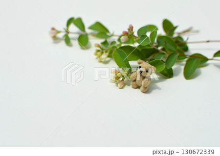 シンフォリカルポスの花と小さなテディベア 　 　 130672339