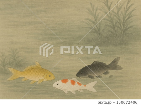 色彩豊かな鯉群 色彩豊かな鯉群 130672406