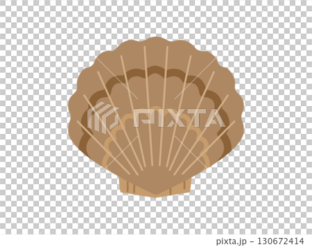 Illustration of a brown-shelled scallop 130672414