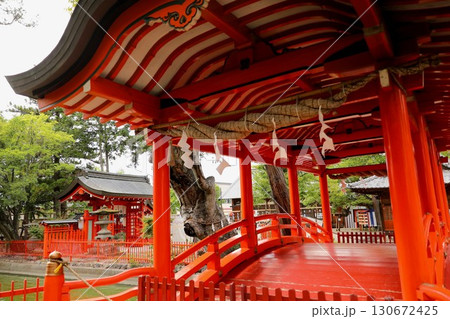 生島足島神社　朱色の鳥居が連なる参道 130672425