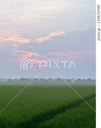 朝焼けに照らされた田んぼの風景 130672495