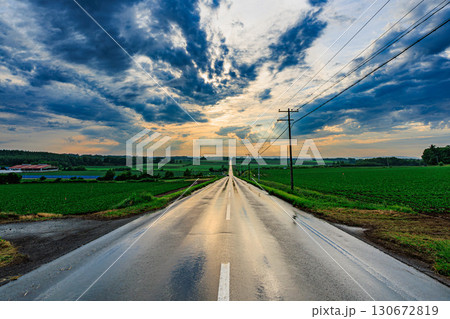 広大な畑と空を貫く一本道の風景 130672819