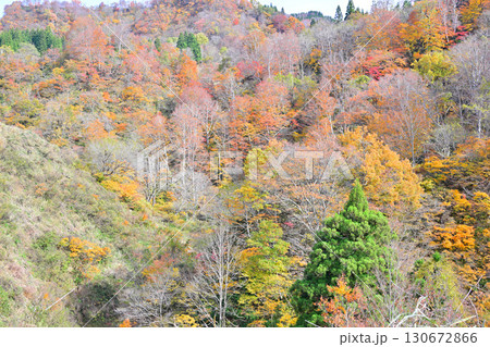 山の紅葉 秋風景 国道353号線からの眺め 新潟県十日町市 山の紅葉 秋風景 国道353号線からの眺め 新潟県十日町市 130672866