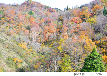山の紅葉 秋風景 国道353号線からの眺め 新潟県十日町市 山の紅葉 秋風景 国道353号線からの眺め 新潟県十日町市 130672878