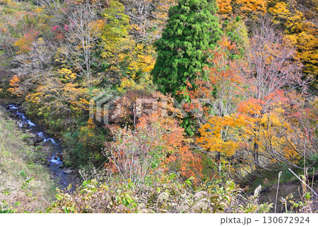 山の紅葉 沢 秋風景 国道353号線からの眺め 新潟県十日町市 山の紅葉 沢 秋風景 国道353号線からの眺め 新潟県十日町市 130672924