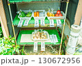 野菜の無人販売所 130672956