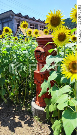夏を抱きしめる花畑 洲原ひまわりの里 夏を抱きしめる花畑 洲原ひまわりの里 130673393