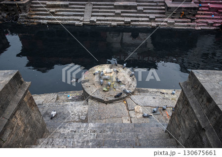 Group of domestic pigeons finding something to eat at the altar in Pashupatinath temple in Kathmandu, Nepal. 130675661