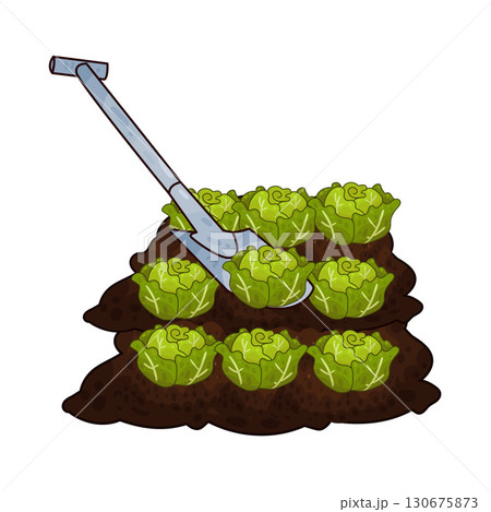 illustration of shovel digging cabbage illustration of shovel digging cabbage 130675873
