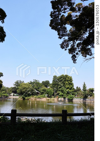 碑文谷公園・弁天池（東京都目黒区） 130676053