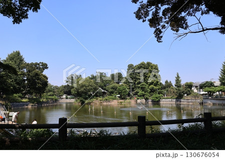 碑文谷公園・弁天池（東京都目黒区） 130676054