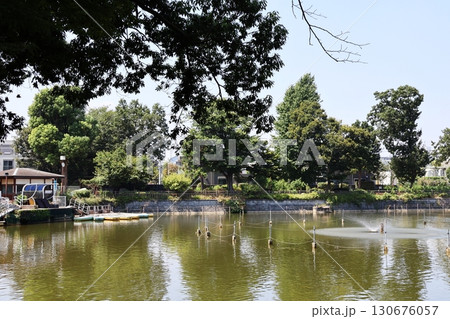 碑文谷公園・弁天池(東京都目黒区) 碑文谷公園・弁天池(東京都目黒区) 130676057