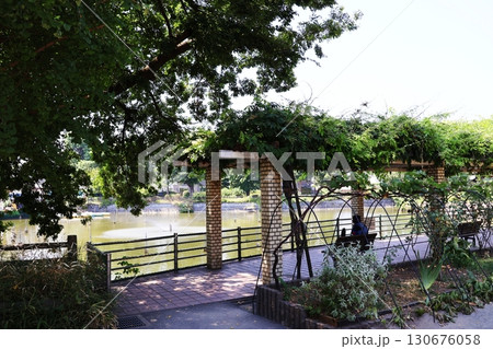 碑文谷公園・弁天池（東京都目黒区） 130676058