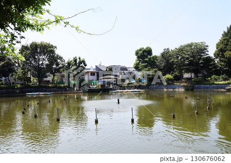 碑文谷公園・弁天池（東京都目黒区） 130676062