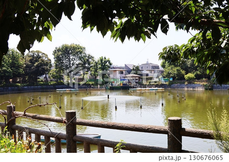 碑文谷公園・弁天池（東京都目黒区） 130676065