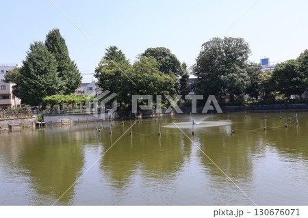 碑文谷公園・弁天池（東京都目黒区） 130676071